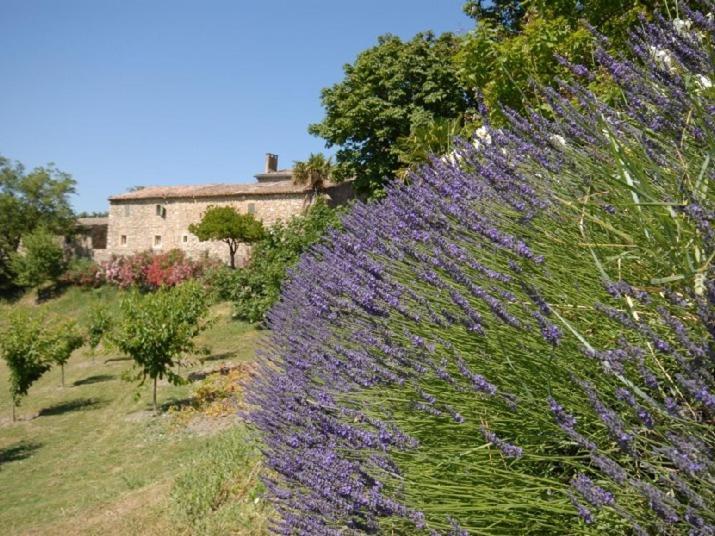 Domaine De Cousignac Bed and Breakfast Bourg-Saint-Andéol Εξωτερικό φωτογραφία